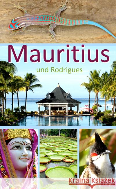 Mauritius Hupe, Ilona 9783932084973 Hupe - książka