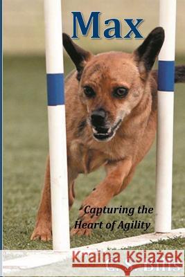 Max C. S. Bills 9781984061898 Createspace Independent Publishing Platform - książka