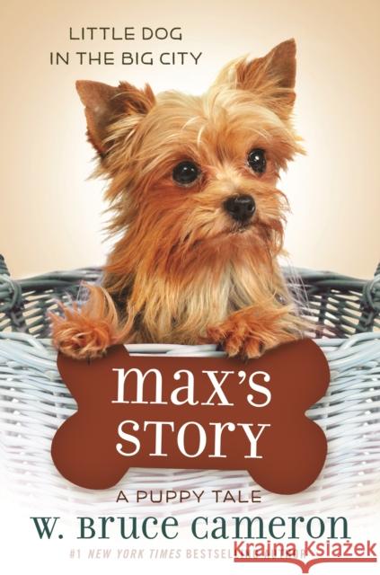 Max's Story: A Puppy Tale Cameron, W. Bruce 9780765395016 Starscape Books - książka