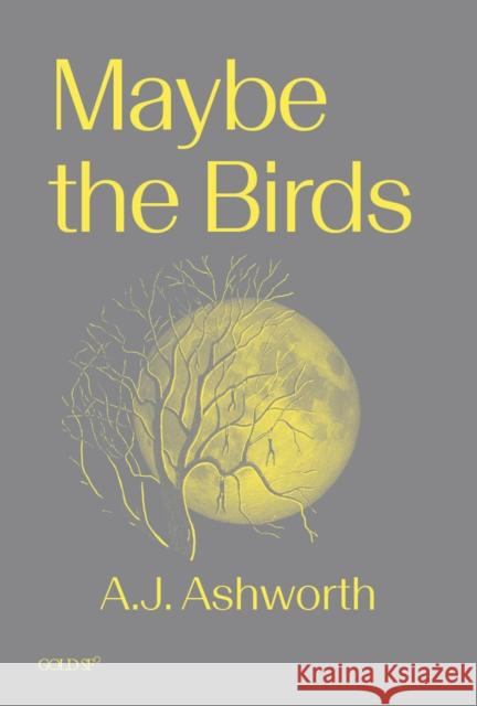 Maybe the Birds A. J. Ashworth 9781915983381 Goldsmiths Press - książka