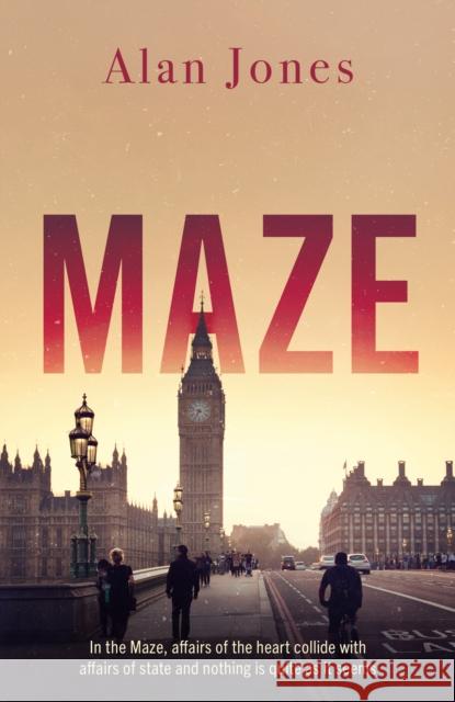 Maze Alan Jones 9781836284383 Troubador Publishing - książka