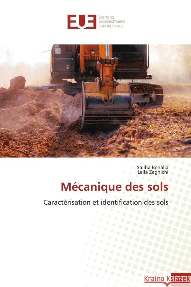 Mécanique des sols Benalia, Saliha, Zeghichi, Leila 9786206726197 Éditions universitaires européennes - książka