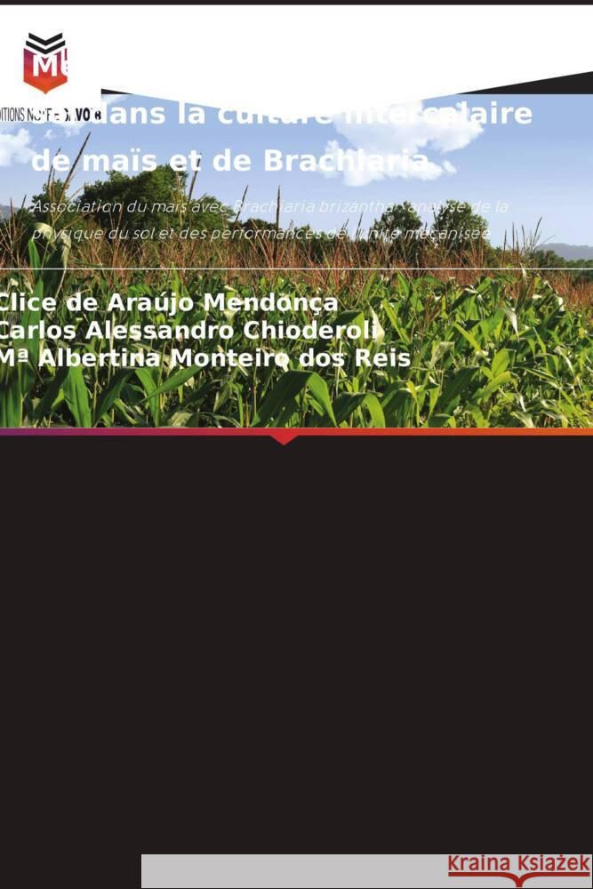 Mécanisation et physique du sol dans la culture intercalaire de maïs et de Brachiaria de Araújo Mendonça, Clice, Alessandro Chioderoli, Carlos, Monteiro dos Reis, Mª Albertina 9786208590611 Editions Notre Savoir - książka