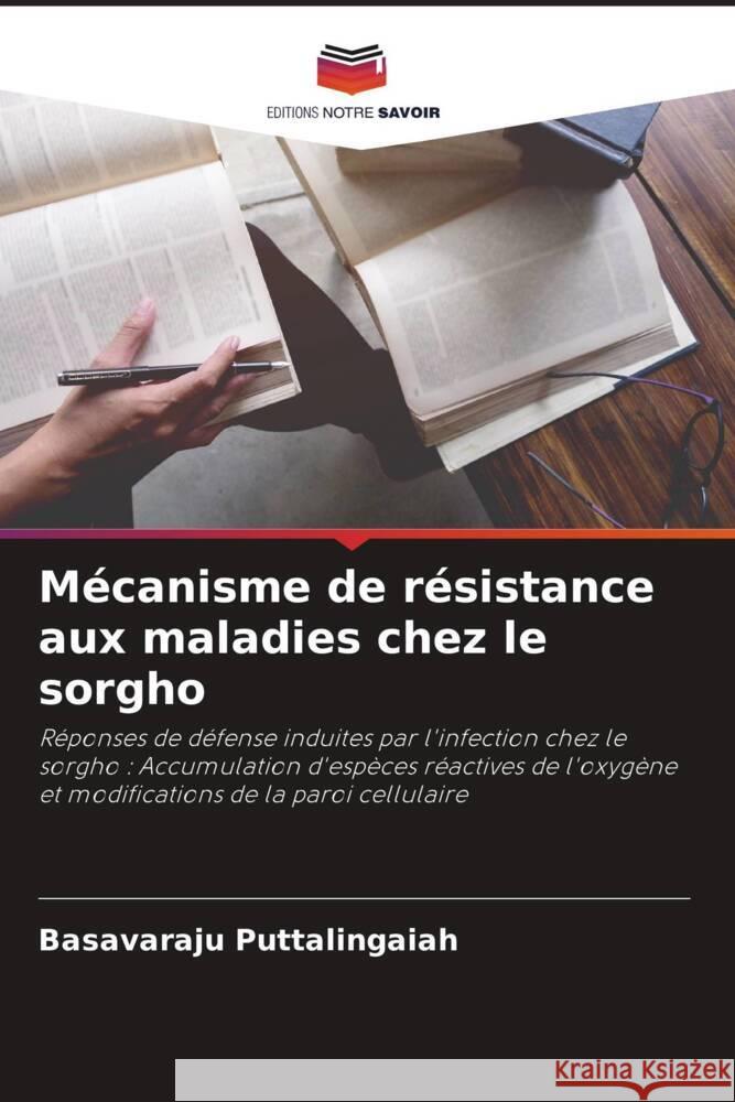 Mécanisme de résistance aux maladies chez le sorgho Puttalingaiah, Basavaraju 9786204795607 Editions Notre Savoir - książka