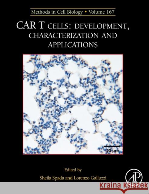 McB: Car T Cells: Development, Characterization and Applications: Volume 167 Galluzzi, Lorenzo 9780323855013 Elsevier Science & Technology - książka