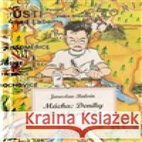 Mácha: Deníky Dan Černý 9788090457300 NOVELA BOHEMICA - książka