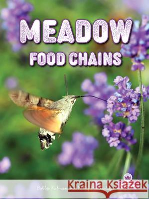 Meadow Food Chains Kelley MacAulay Bobbie Kalman 9781039872967 Crabtree Crown - książka