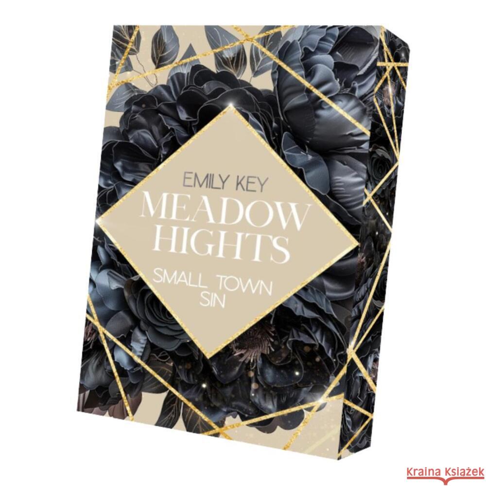 Meadow Hights - Small Town Sin Key, Emily 9783911505833 LogiXperts - książka