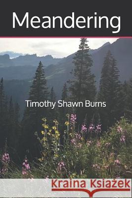 Meandering Timothy Shawn Burns 9781091078284 Independently Published - książka