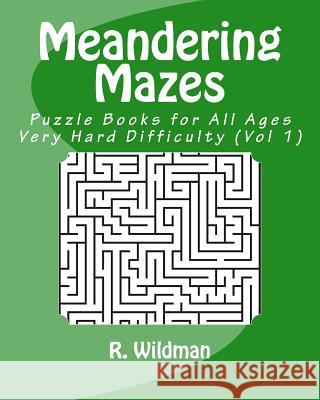 Meandering Mazes: Puzzle Books for All Ages - Very Hard Difficulty R. Wildman 9781981713677 Createspace Independent Publishing Platform - książka