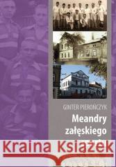 Meandry załęskiego sportu Ginter Pierończyk 9788365558145 Silesia Progress - książka