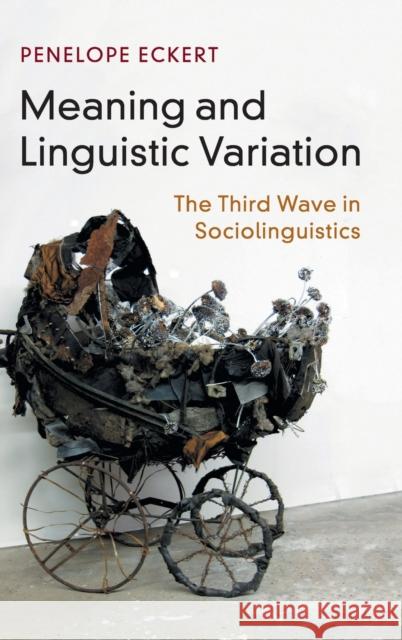 Meaning and Linguistic Variation: The Third Wave in Sociolinguistics Eckert, Penelope 9781107122970 Cambridge University Press - książka