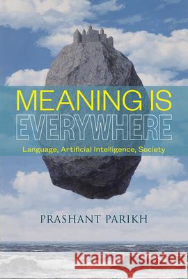 Meaning Is Everywhere: Language, Artificial Intelligence, Society Prashant Parikh 9781647921613 Hackett Publishing Company, Inc. - książka