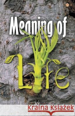 Meaning of Life Sonali Rai 9789352966837 Diamond Pocket Books Pvt Ltd - książka