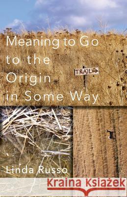 Meaning to Go to the Origin in Some Way Linda Russo 9781848613935 Shearsman Books - książka