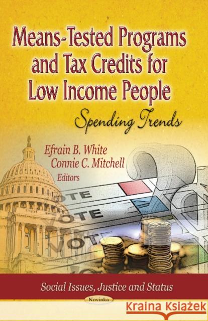 Means-Tested Programs & Tax Credits for Low Income People: Spending Trends Efrain B White, Connie C Mitchell 9781626185524 Nova Science Publishers Inc - książka