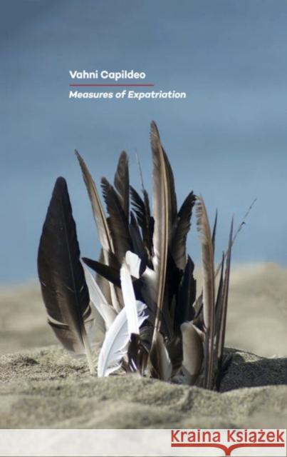 Measures of Expatriation Anthony V. Capildeo 9781784101688 Carcanet Press Ltd - książka