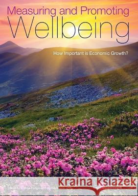 Measuring and Promoting Wellbeing: How Important is Economic Growth? Andrew Podger Dennis Trewin 9781925021318 Anu Press - książka