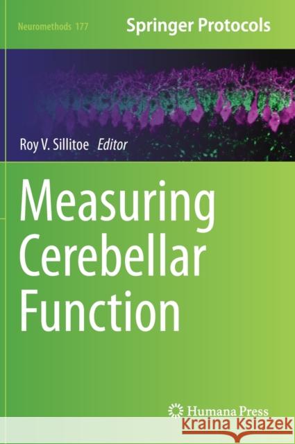 Measuring Cerebellar Function  9781071620250 Springer US - książka