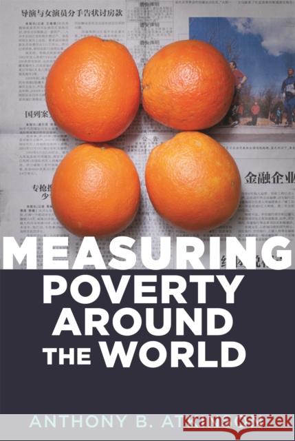 Measuring Poverty around the World Anthony B. Atkinson 9780691191225 Princeton University Press - książka