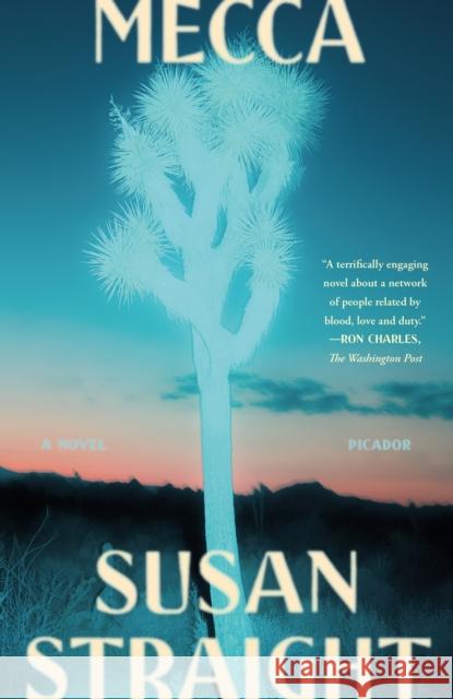 Mecca: A Novel Susan Straight 9781250863072 Picador USA - książka