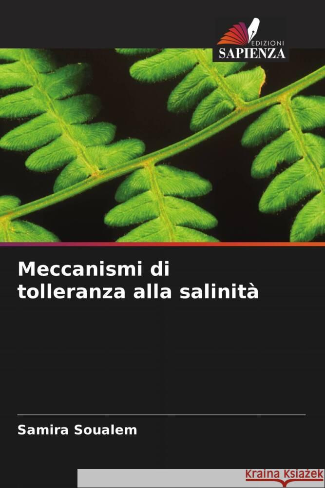 Meccanismi di tolleranza alla salinità SOUALEM, Samira 9786208267216 Edizioni Sapienza - książka