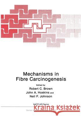 Mechanisms in Fibre Carcinogenesis Robert C John A Neil F. Johnson 9781468413656 Springer - książka