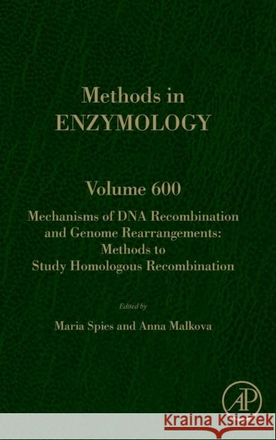 Mechanisms of DNA Recombination and Genome Rearrangements: Methods to Study Homologous Recombination: Volume 600 Spies, Maria 9780128144299 Academic Press - książka