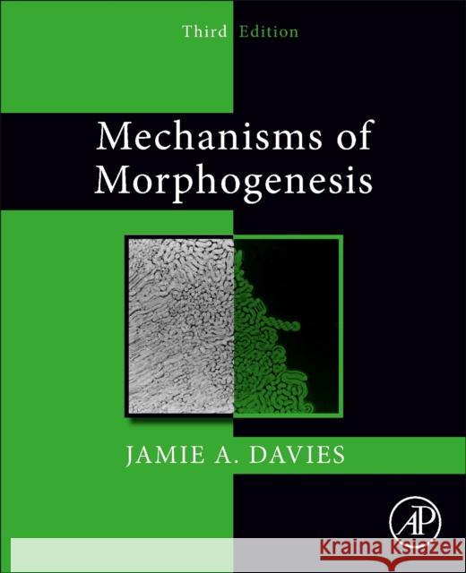 Mechanisms of Morphogenesis Jamie A. Davies 9780323999656 Elsevier Science & Technology - książka