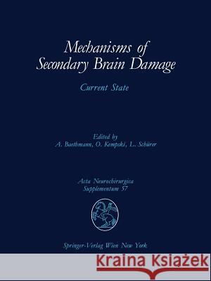 Mechanisms of Secondary Brain Damage: Current State Baethmann, Alexander 9783709192689 Springer - książka