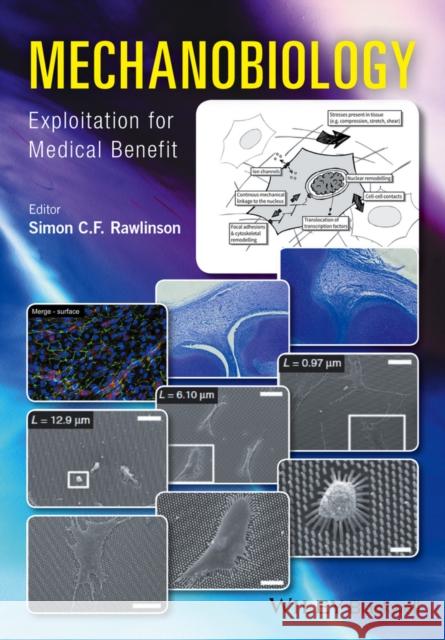 Mechanobiology: Exploitation for Medical Benefit Rawlinson, Simon C. F. 9781118966143 Wiley-Blackwell - książka