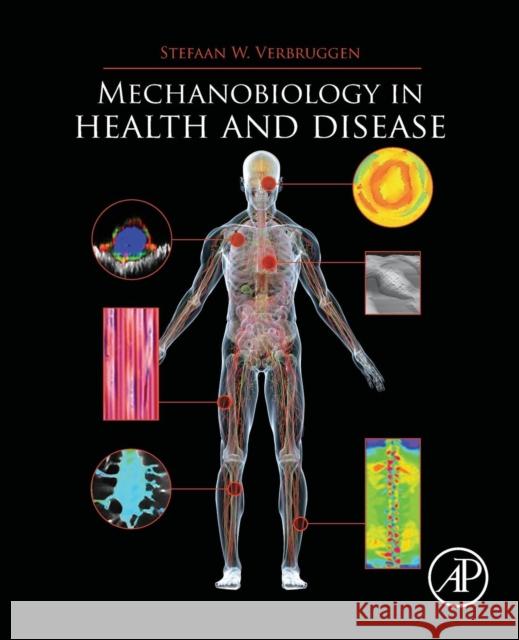 Mechanobiology in Health and Disease Stefaan Verbruggen 9780128129524 Academic Press - książka