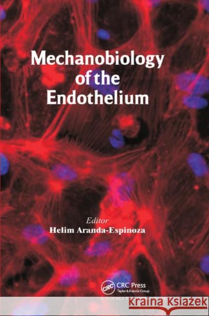 Mechanobiology of the Endothelium Helim Aranda-Espinoza 9780367377786 CRC Press - książka