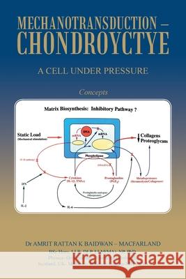 Mechanotransduction - Chondroyctye: A Cell Under Pressure Dr Amrit Rattan K Baidwan - Macfarland 9781665595193 Authorhouse UK - książka