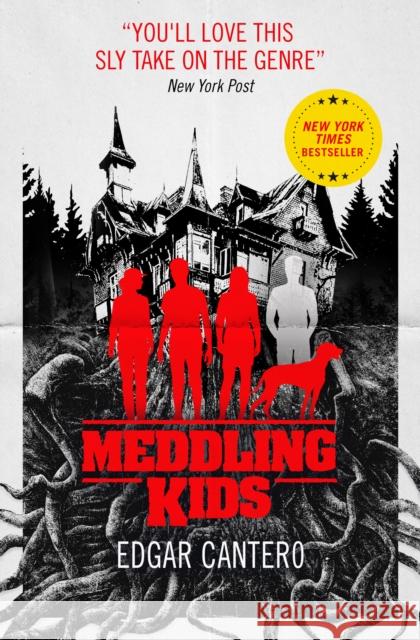 Meddling Kids Edgar Cantero   9781785658761 Titan Books Ltd - książka