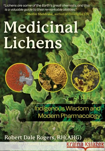 Medicinal Lichens: Indigenous Wisdom and Modern Pharmacology Robert Dale Rogers 9798888500248 Inner Traditions Bear and Company - książka