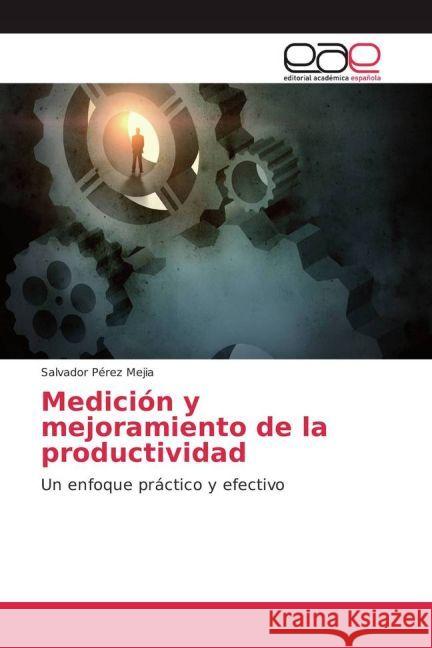 Medición y mejoramiento de la productividad : Un enfoque práctico y efectivo Pérez Mejia, Salvador 9783639694147 Editorial Académica Española - książka