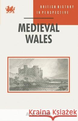 Medieval Wales  9780333547731 PALGRAVE MACMILLAN - książka