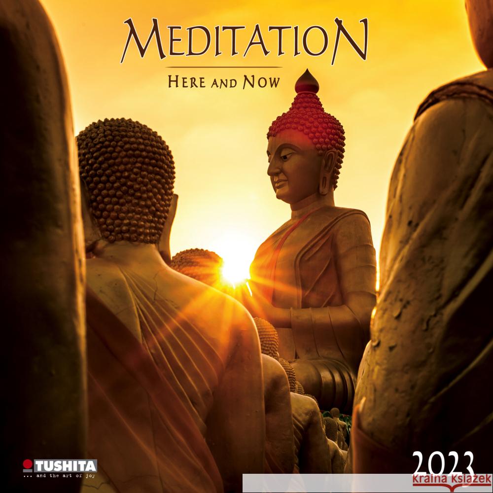 Meditation 2023  9783959290074 Tushita - książka