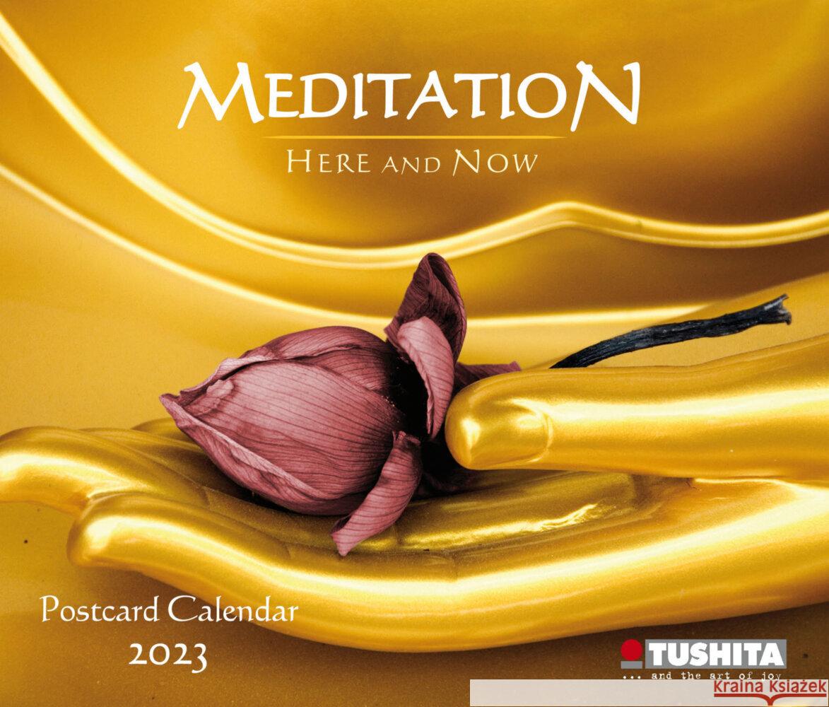 Meditation 2023  9783959291903 Tushita - książka
