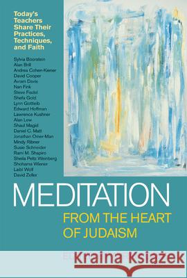 Meditation from the Heart of Judaism Davis, Avram 9781580230490 Jewish Lights Publishing - książka