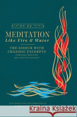 Meditation like Fire and Water: The Siddur with Chasidic Excerpts Sterne, David H. 9780985593346 Jerusalem Connection - książka