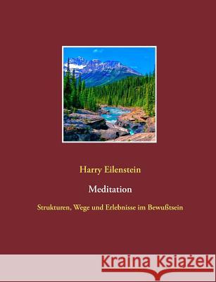 Meditation: Strukturen, Wege und Erlebnisse im Bewußtsein Eilenstein, Harry 9783839101810 Books on Demand - książka