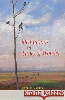 Meditations in Times of Wonder Michael Martin   9781621380788 Angelico Press - książka