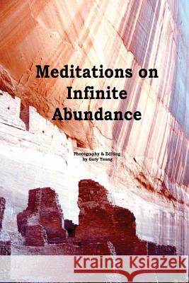 Meditations On Infinite Abundance Young, Gary 9781482542745 Createspace - książka