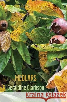 Medlars Geraldine Clarkson 9781848618688 Shearsman Books - książka