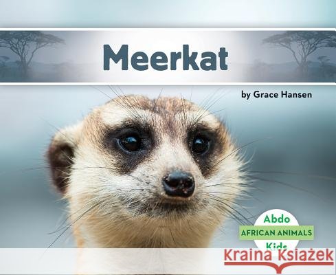 Meerkat Grace Hansen 9781532104206 Abdo Kids Jumbo - książka