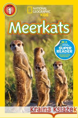 Meerkats Laura Marsh 9781426313424 National Geographic Society - książka