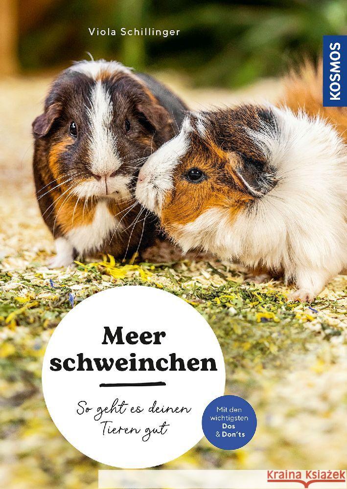 Meerschweinchen Schillinger, Viola 9783440175668 Kosmos (Franckh-Kosmos) - książka