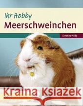 Meerschweinchen Wilde, Christine 9783800175314 Ulmer (Eugen) - książka